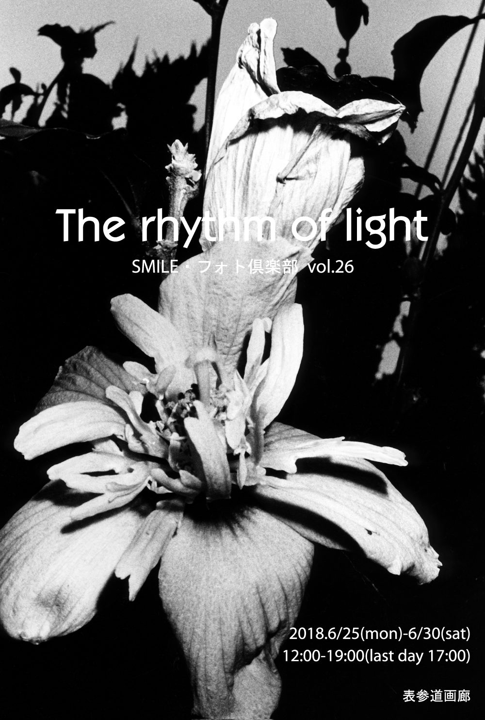 SMILE・フォト倶楽部 vol.26 / The rhythm of light
